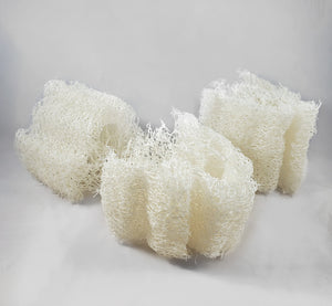 Loofah Sponge